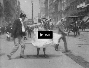 Watch “What Happened on Twenty-Third Street, New York City". (1901)
