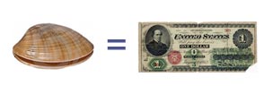 Clam shell and greenback dollar